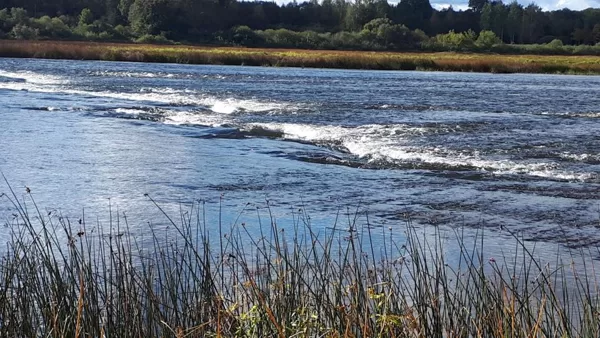 Daugava rapids